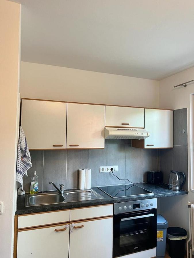 Moderne Ferienwohnung Nahe Zentrum Waidhofen/Ybbs エクステリア 写真