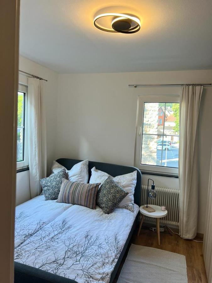 Moderne Ferienwohnung Nahe Zentrum Waidhofen/Ybbs エクステリア 写真